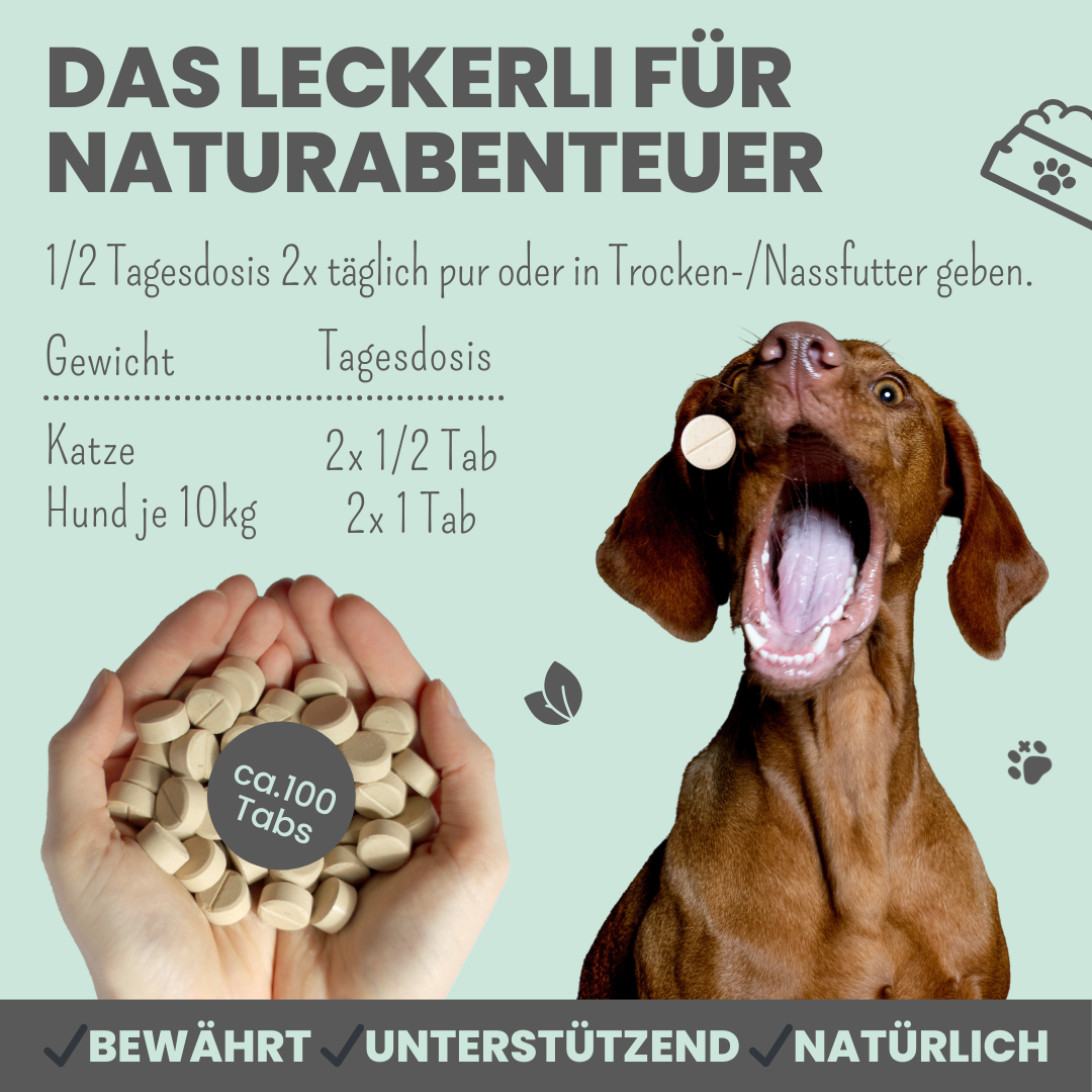 noms+ Zistrosen Tabs - 100% natürliche Leckerli für Wald- & Wiesenspaziergänge