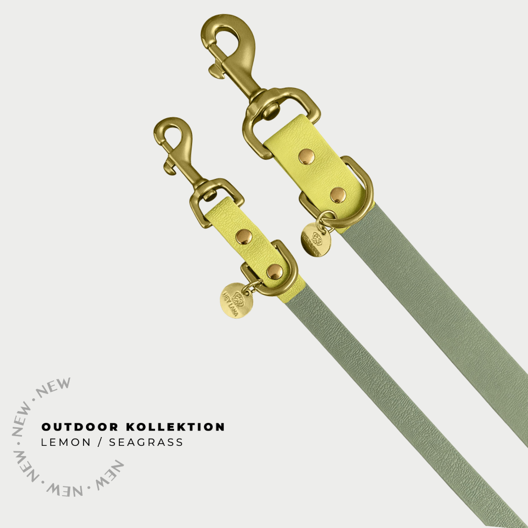 Hundeleine OUTDOOR Lemon Seagras 3-fach verstellbar