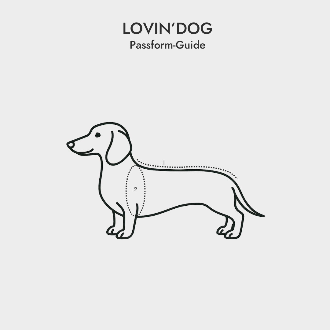 Passform Guide "Dackel" Hund - LOVIN'DOG