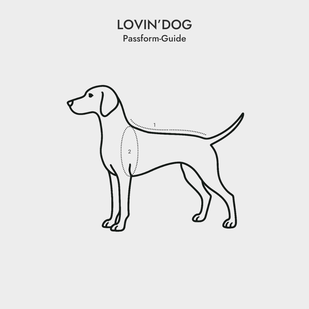 Passform Guide "normaler" Hund - LOVIN'DOG