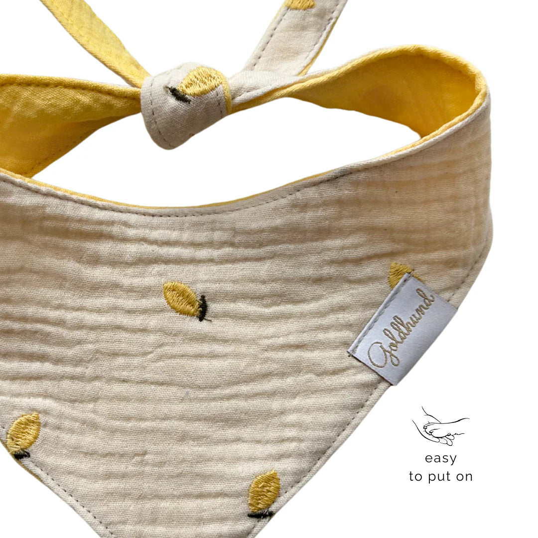 Goldhund Hundehalstuch Musselin Lemon