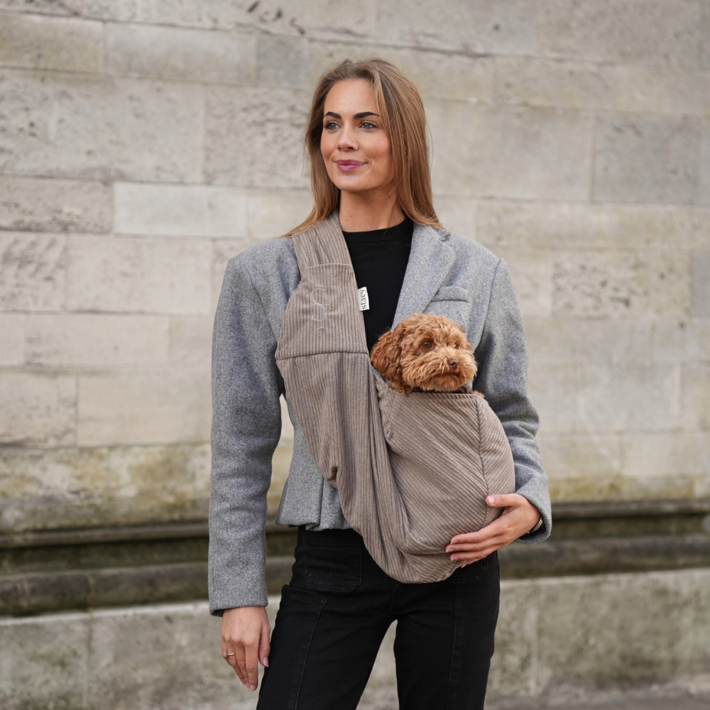 Pudel in Ava Hundetragetasche Cord Beige - staey
