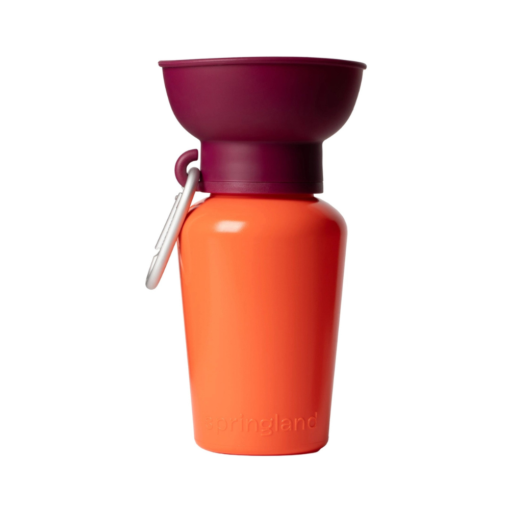 Reisetrinkflasche Flip Hundeflasche Orange/Bordeaux Valencia limited Edition - springland