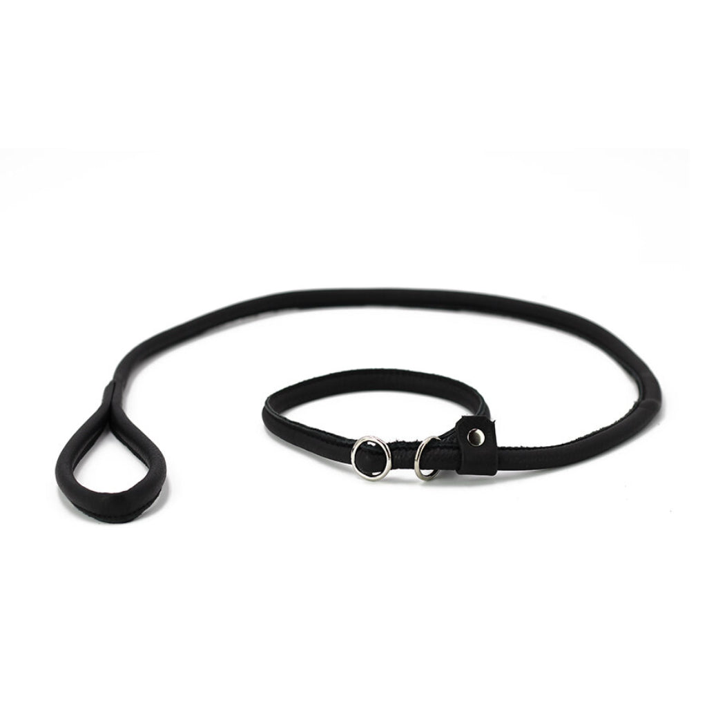 Retriever-Hundeleine Leder Schwarz - Maul Ledermanufaktur