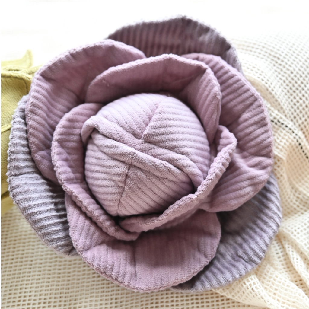 Schnüffelspielzeug Kohl Pop