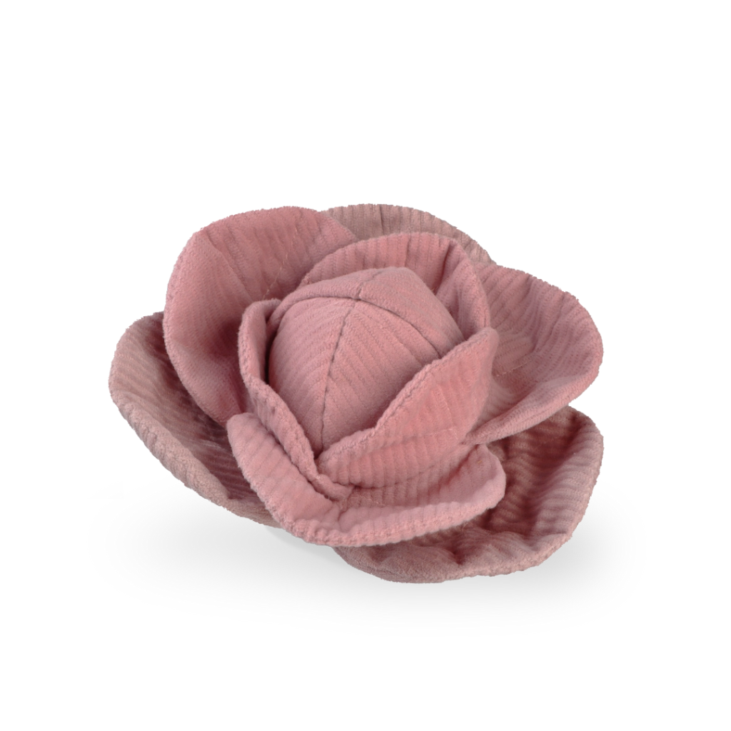 Schnüffelspielzeug Kohl Pop