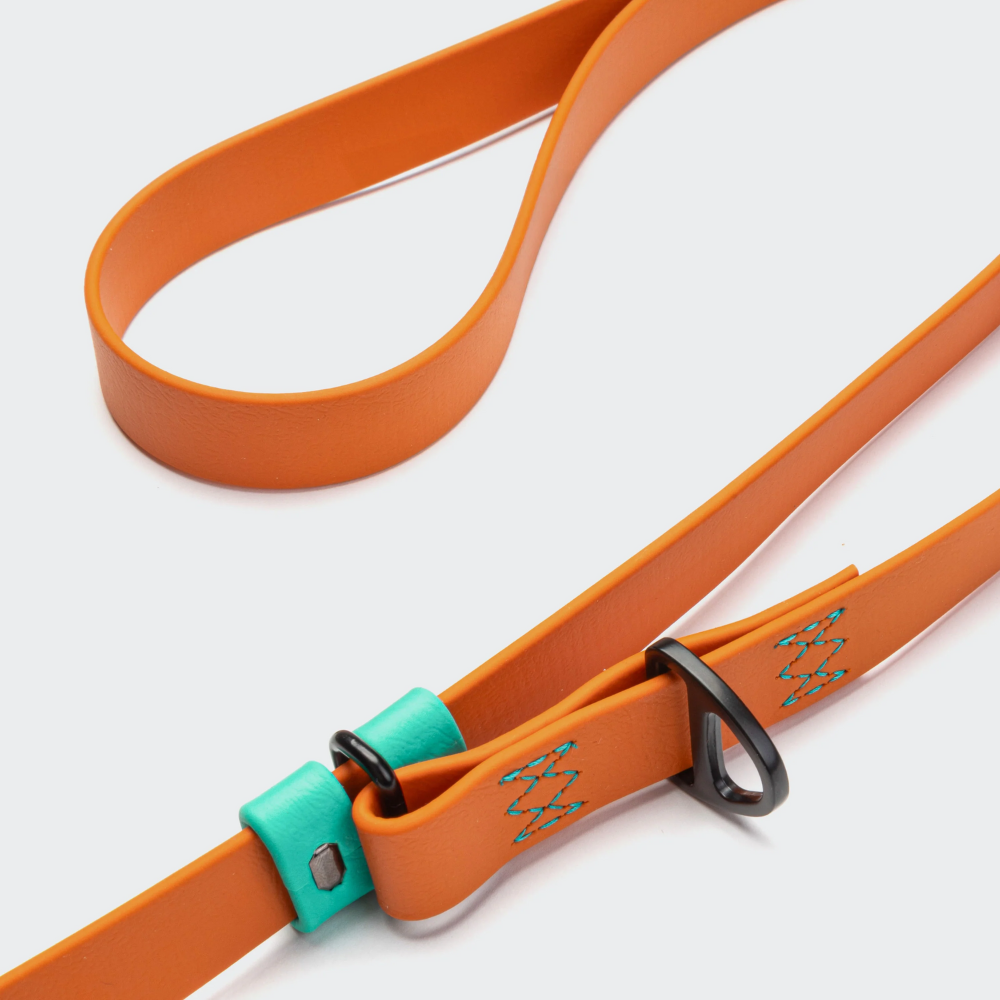 Schieber Cloud7 Handsfree Hundeleine BioThane Ipanema Orange-Aqua