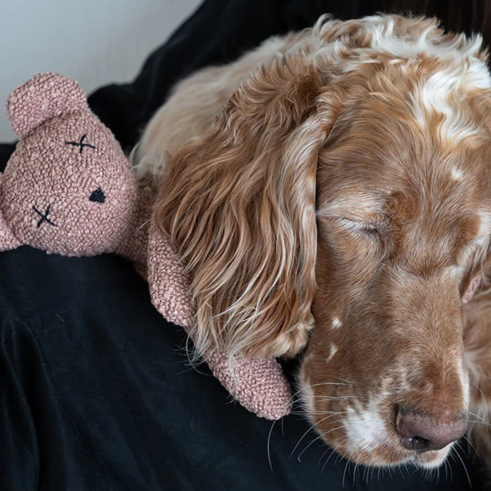 Schlafender Hund auf Hundespielzeug BERTY The Bear Limited Valentine's Edition - Lillabel