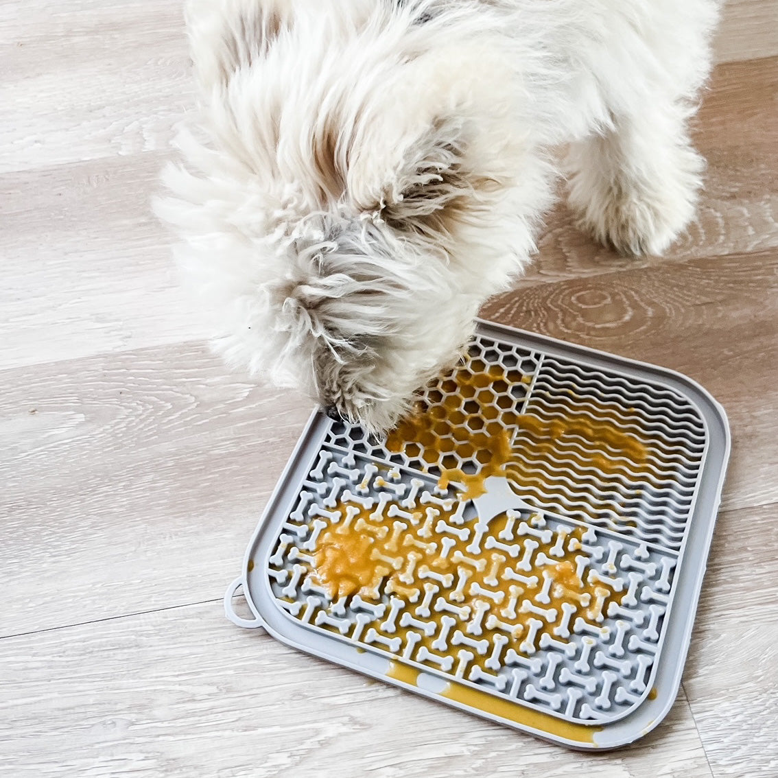 Schleckmatte grau mit HUndesmoothie - LOVIN'DOG