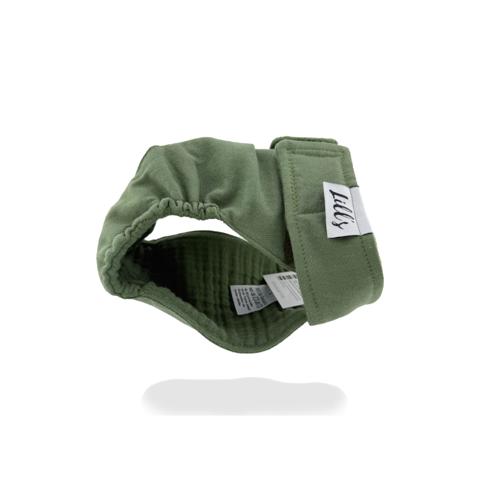 Seitenansicht Läufigkeitshöschen LOU aus Bio-Baumwolle OLIVE - lill's