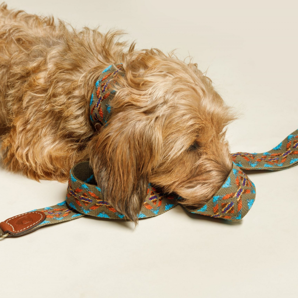 Set Hundeleine verstellbar & Halsband ETNA Grün - Buddys Dogwear