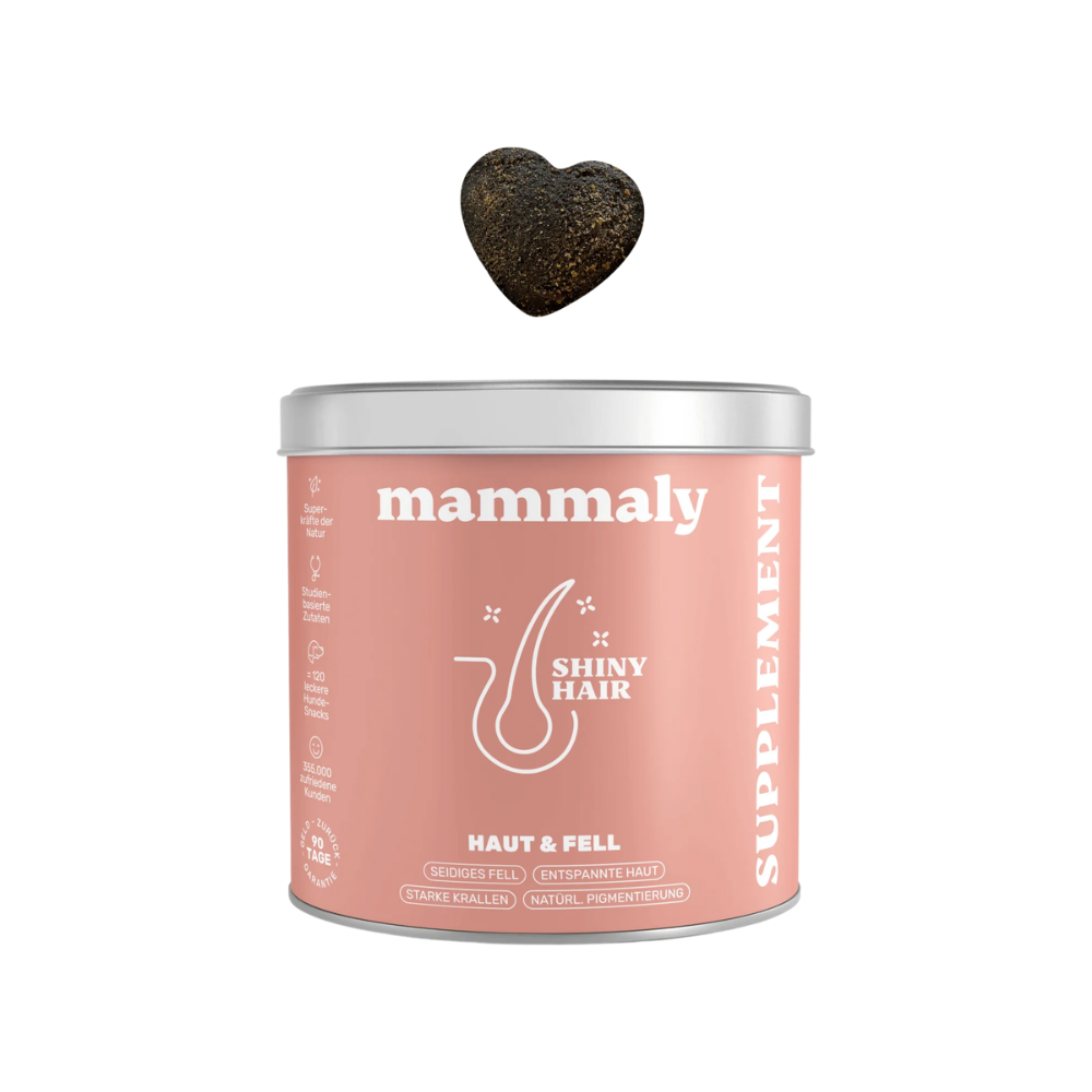 Shiny Hair Fellpflege-Snack für Hunde - mammaly