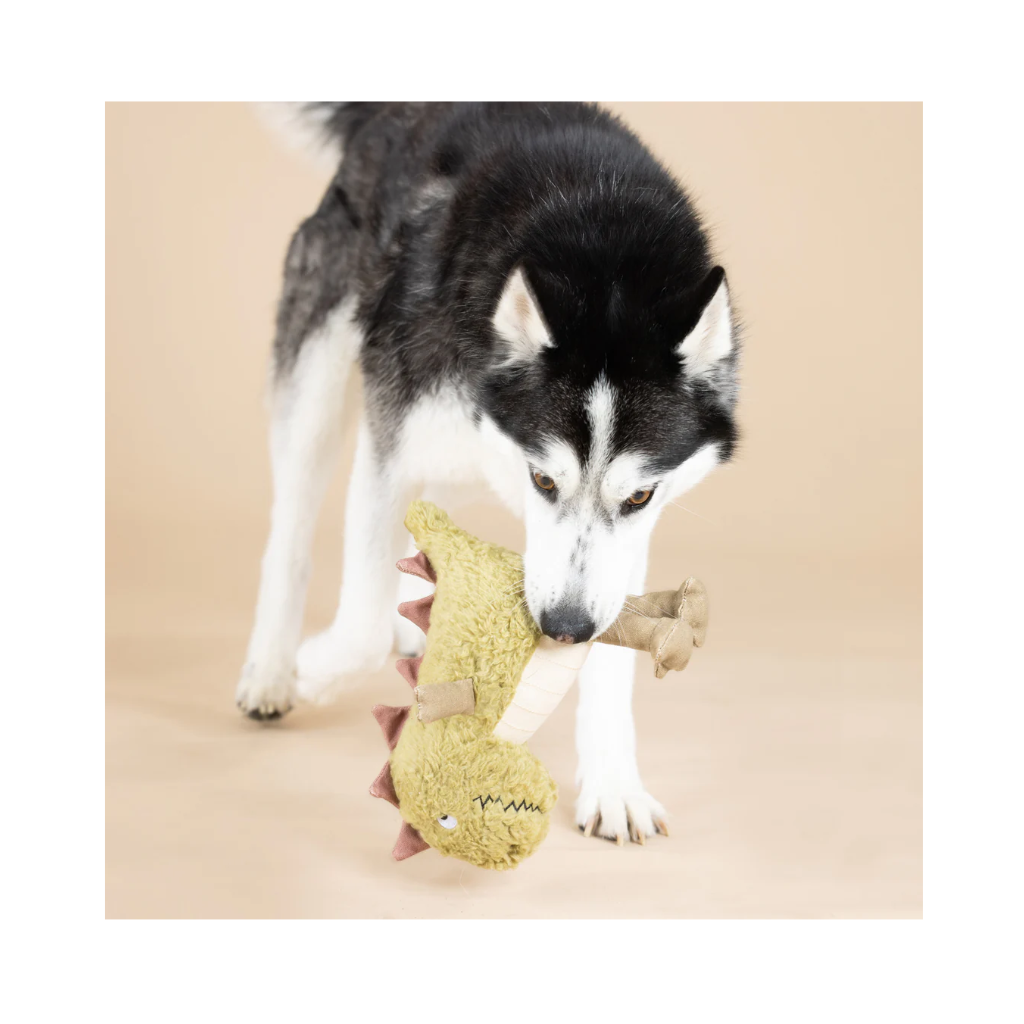 Hund mit Hundespielzeug Small Arms, Big Heart I Earth Friendly - PetShop by Fringe Studio