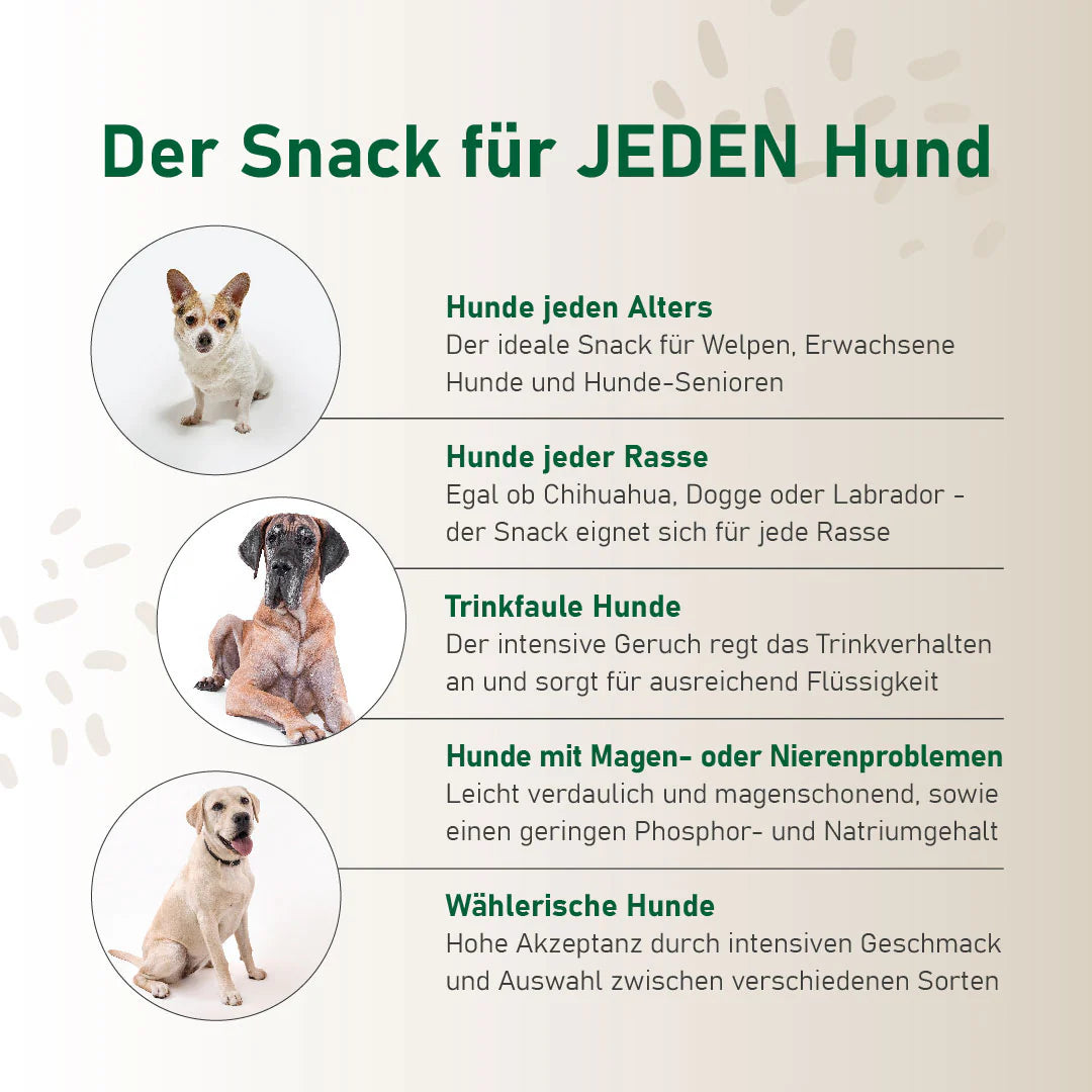 SmoothieDog Morosche Karottensuppe