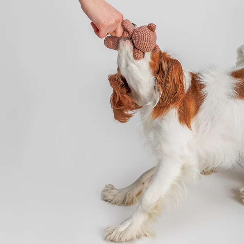 Spielbild Hundespielzeug Bär BRUNO gehäkelt 14 cm - Lillabel