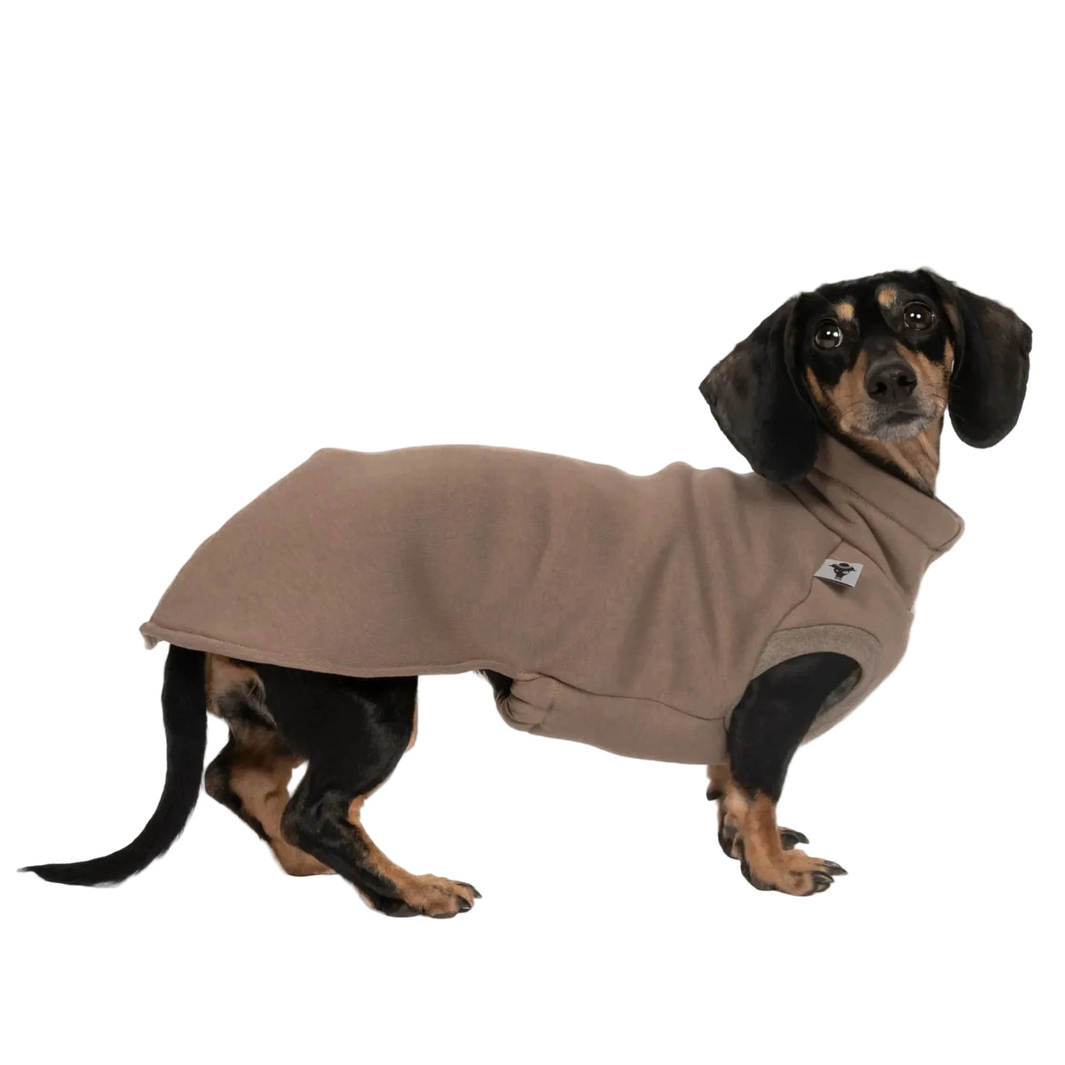 KARMA HUND Sweatshirt für Dackel in Braun