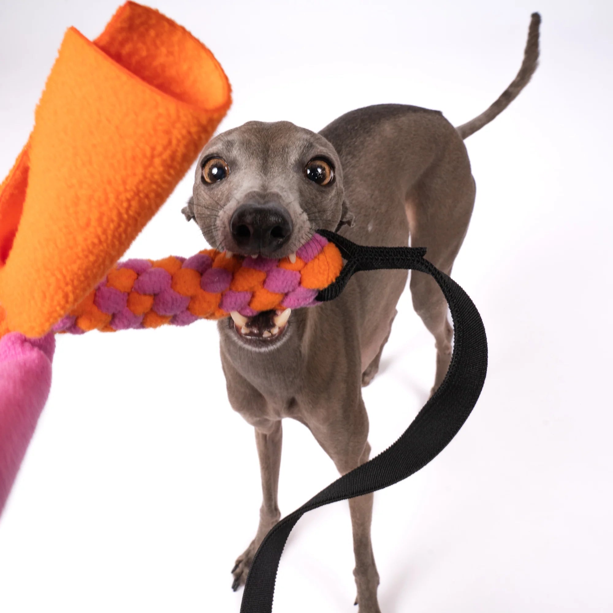 KARMA HUND Bungee-Tau Fleece Bubblegum Orange