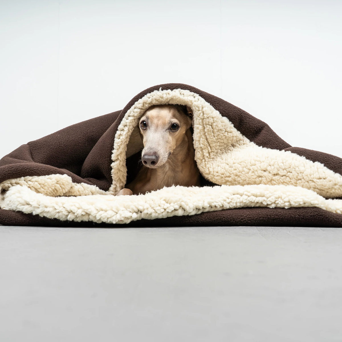 KARMA HUND Teddy Hundeschlafsack Dunkelbraun