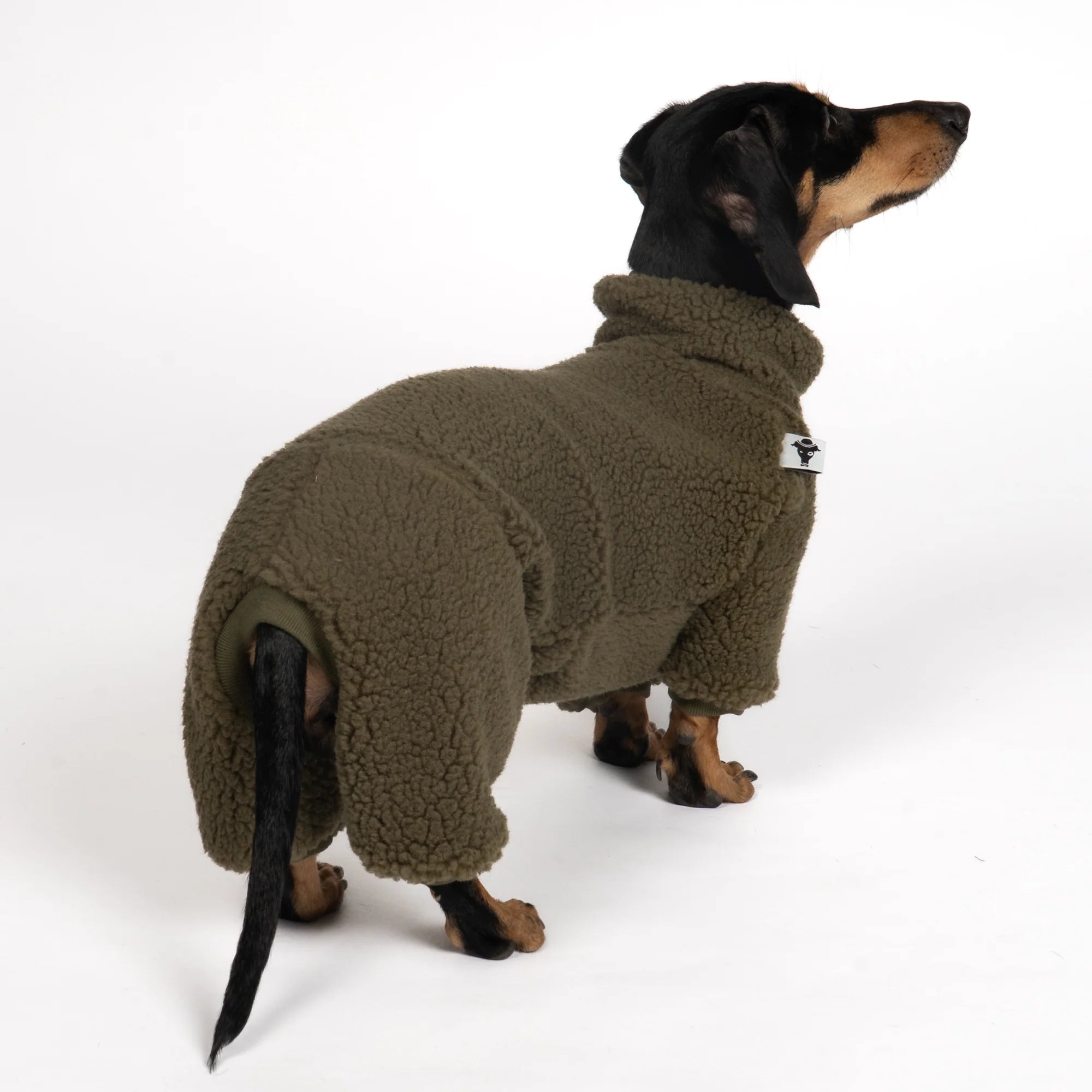 KARMA HUND Teddy Overall für Dackel in Dark Olive