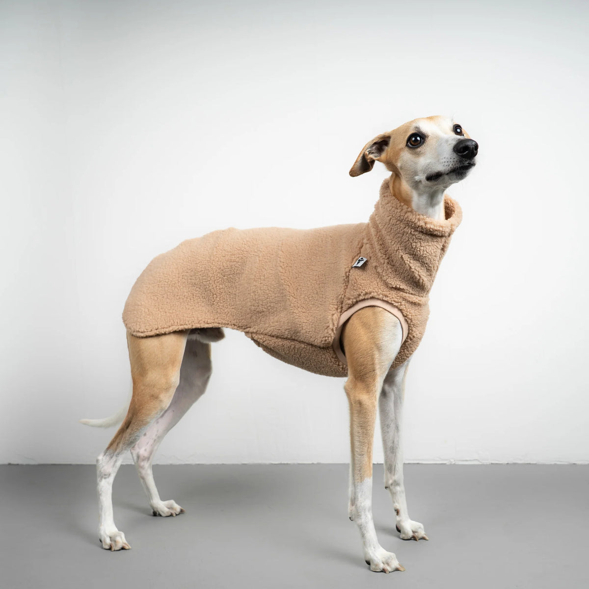 KARMA HUND Teddy Shirt für Windhund in SAND BEIGE