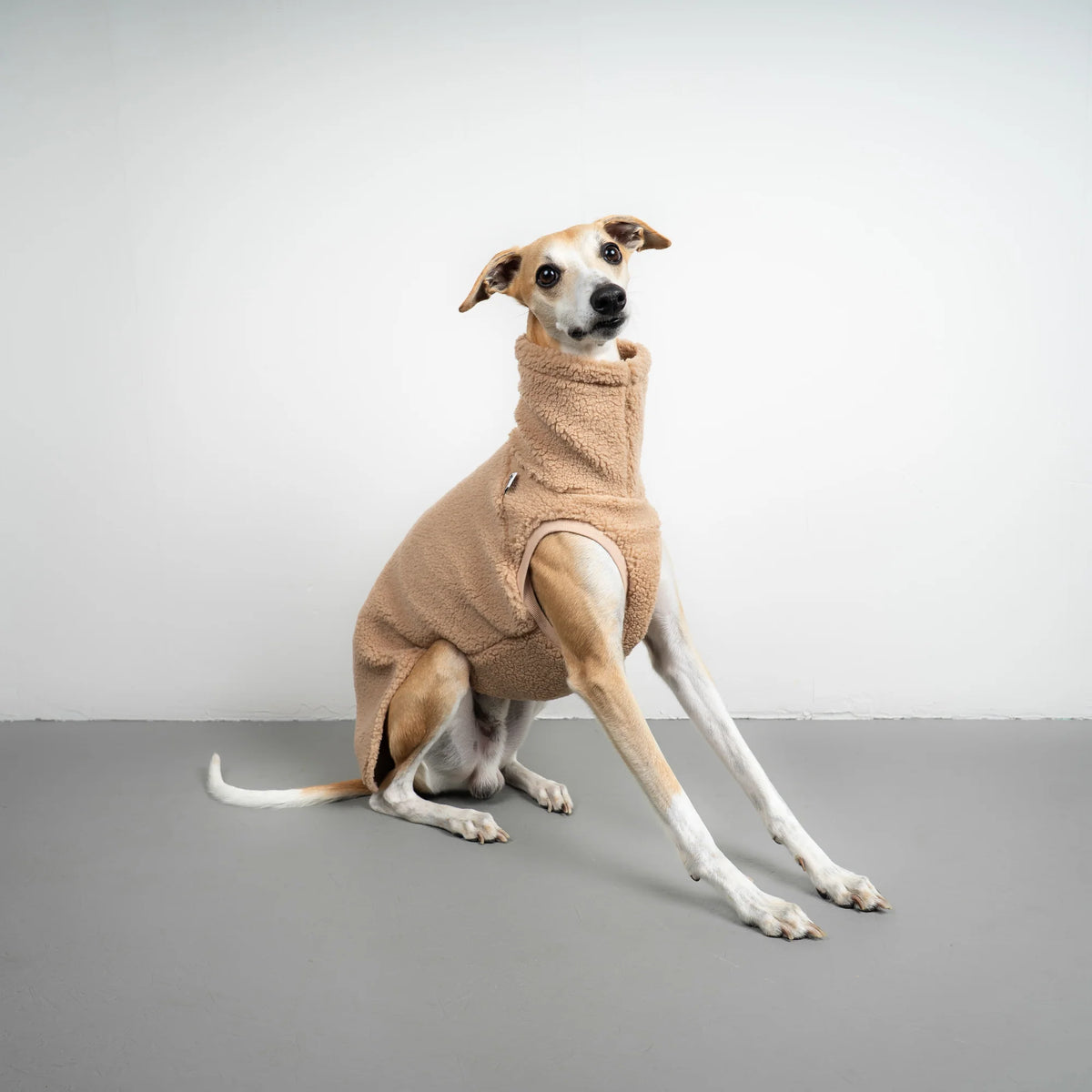 KARMA HUND Teddy Shirt für Windhund in SAND BEIGE