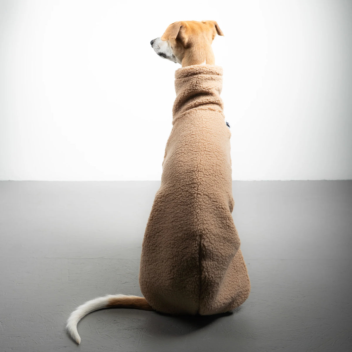 KARMA HUND Teddy Shirt für Windhund in SAND BEIGE