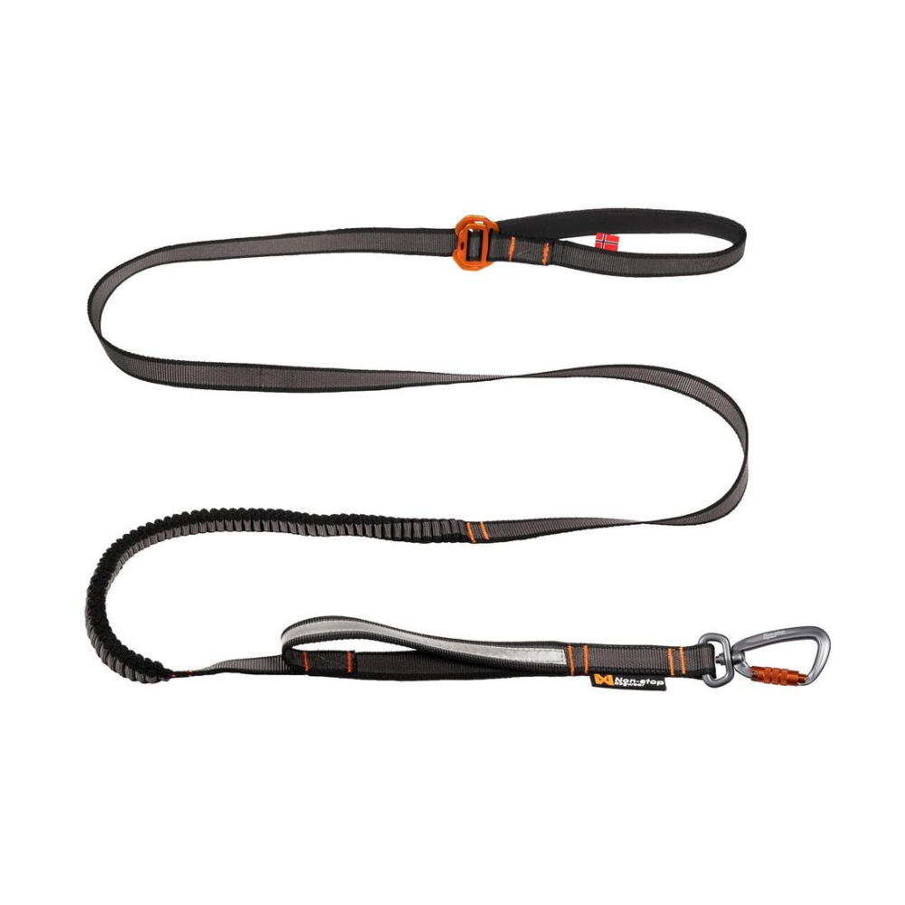 Hundeleine TOURING Bungee Leash adjustable - non-stop dogwear®