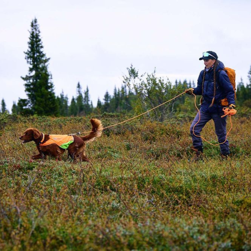 Tragebild Leine PROTECTOR Round Long Line orange - non-stop dogwear®
