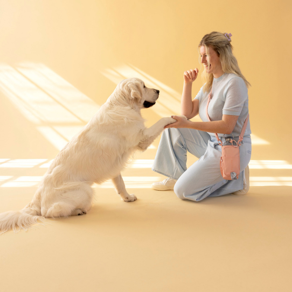 Tragebild Flaschen- & Leckerlitasche Boudi Peach - PALOPA