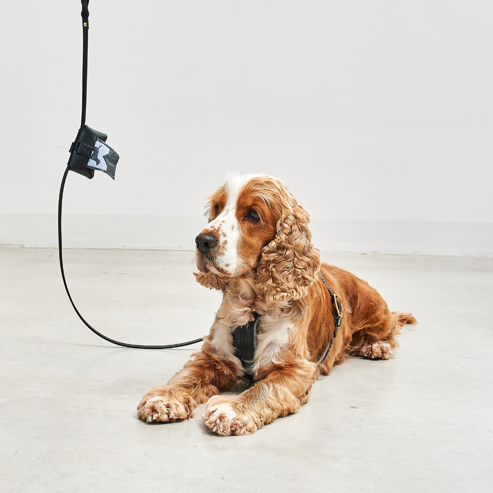 Tragebild Leder Kotbeutelspender Pisa Schwarz an Hundeleine Rimini - MiaCara