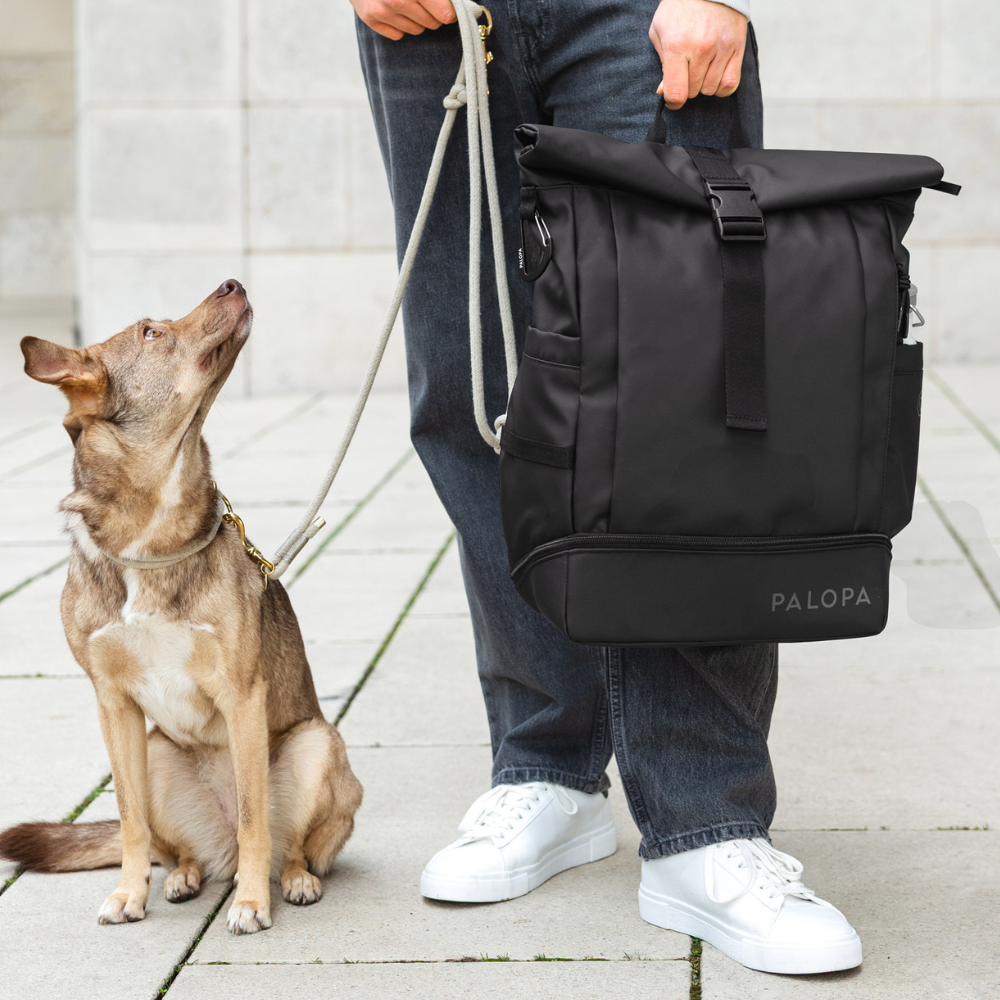 Tragebild PALOPA Rolltop Backpack Rucksack YOSKA Black