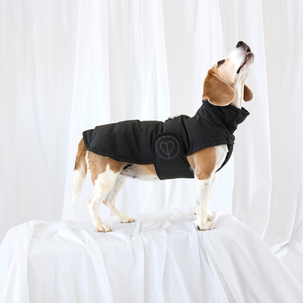 Tragebild PALOPA Wintermantel Nolia Long (Dackel) Black