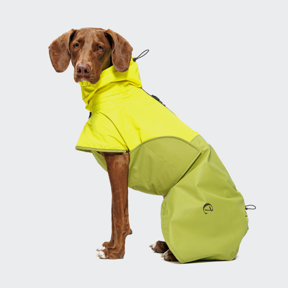 Tragebild Seitenansicht Cloud7 AKTIV Hunderegenmantel Neon Green-Light Olive