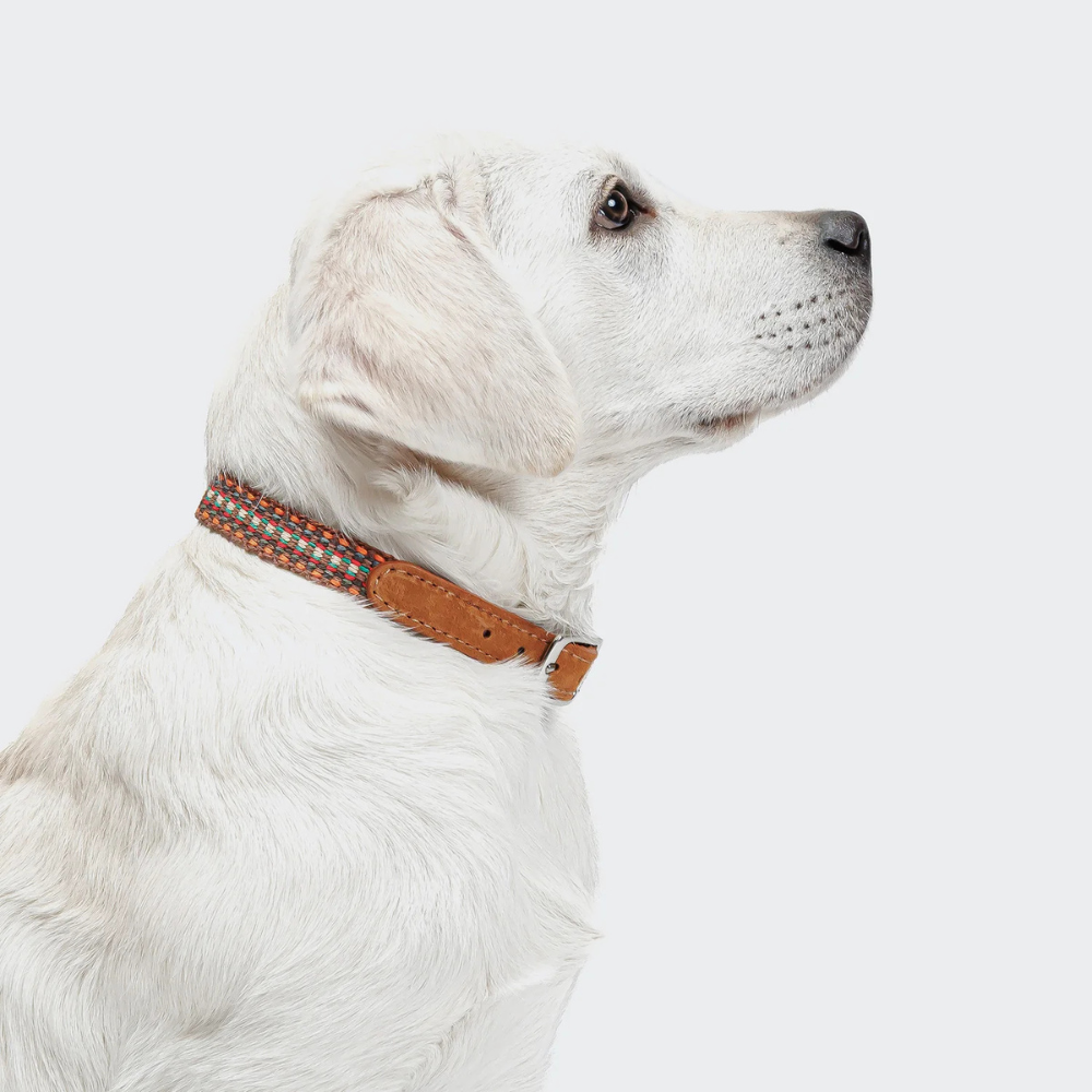 Tragebild Cloud7 Halsband Prater Sunset