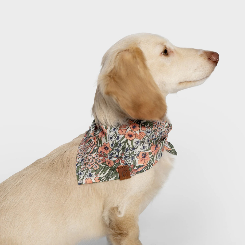 Tragebild Cloud7 LTTL Hundehalstuch Bandana Blossoms