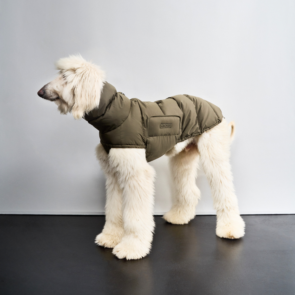 Tragebild Hund mit Cloud7 Hundemantel Winter ALASKA Light Olive