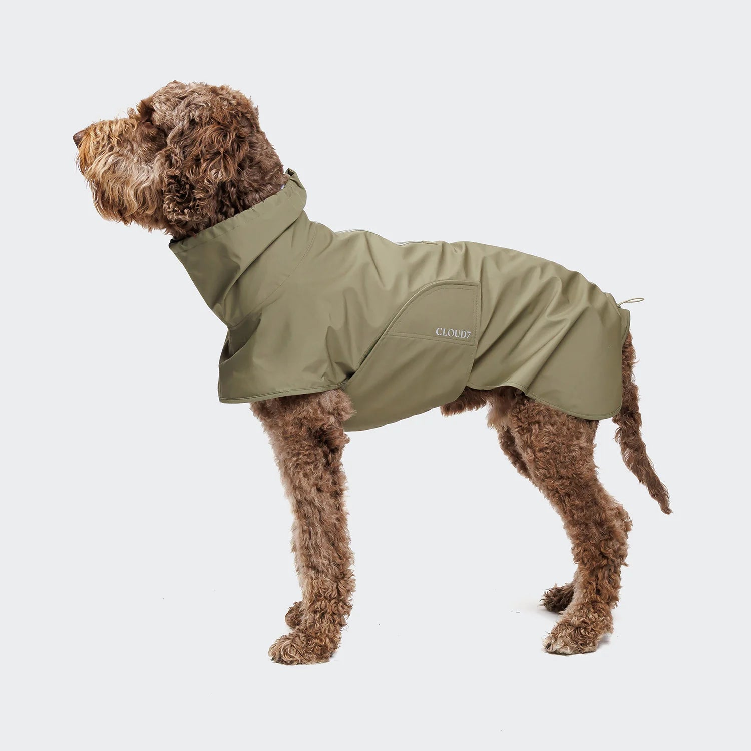 Tragebild Hund mit Cloud7 Hunderegenmantel Helgoland Olive