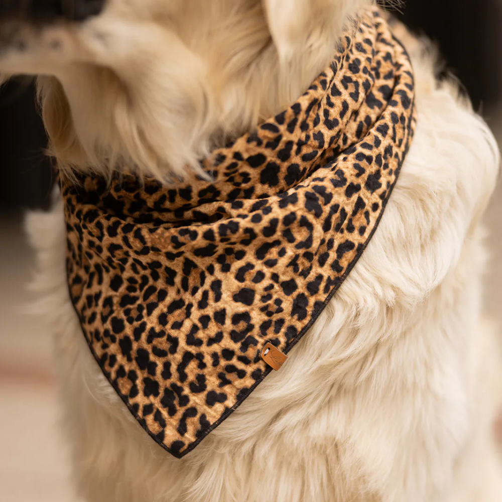 Tragebild Hunde-Halstuch "LEO BLACK“ - Lieblingspfote