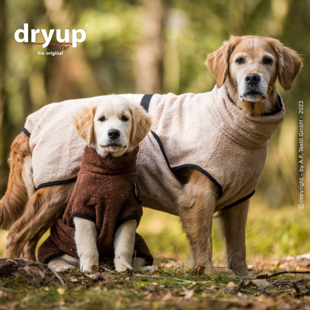 Tragebild Hundebademantel DRYUP Cape MINI BROWN & DRYUP Cape SAND - actionfactory