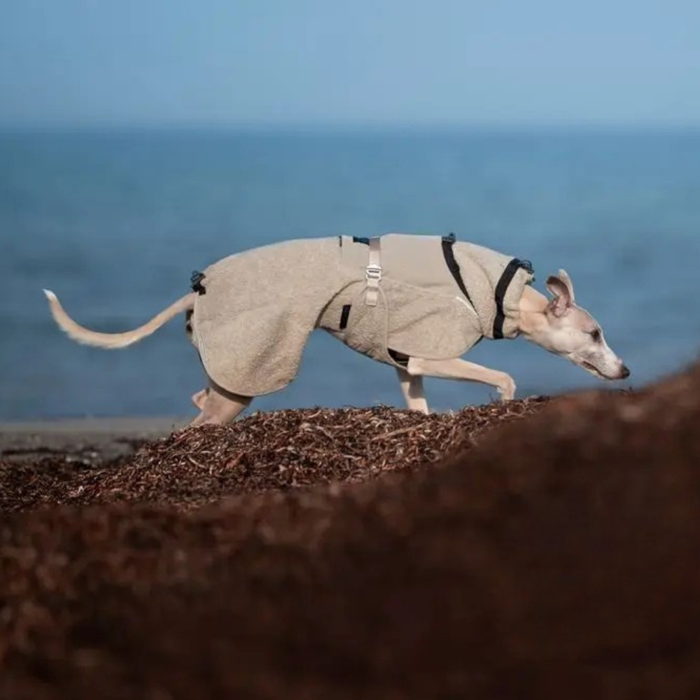 Tragebild Hundemantel Wool Dog Jacket Sand - non-stop dogwear