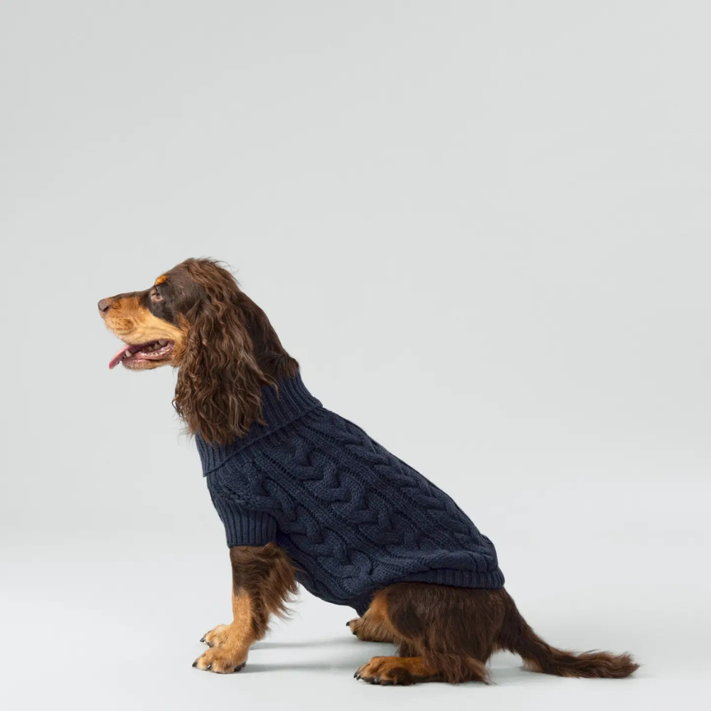 Tragebild Hackett Hundepullover mit Zopfmuster Dunkelblau - Hugo & Hudson