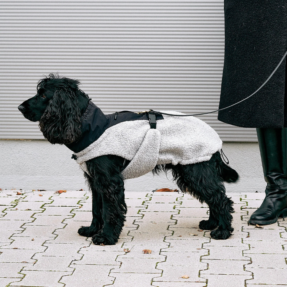 Tragebild MiaCara Hundemantel Emilia grau