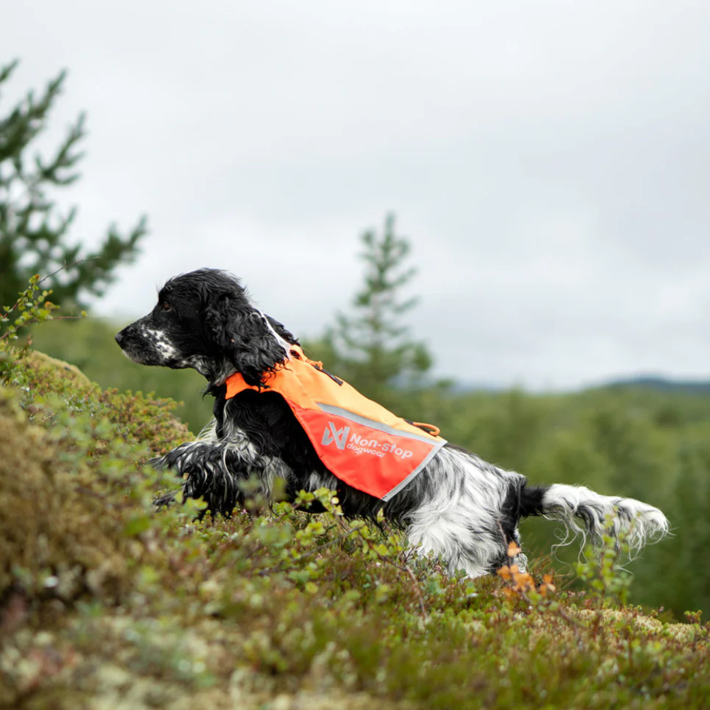 Tragebild Warnschutzweste Protector vest 2.0 Orange - non-stop dogwear