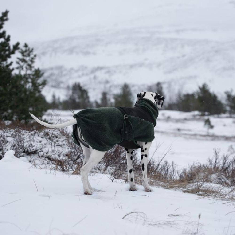 Tragebild Hundemantel Wool Dog Jacket dark teal - non-stop dogwear®