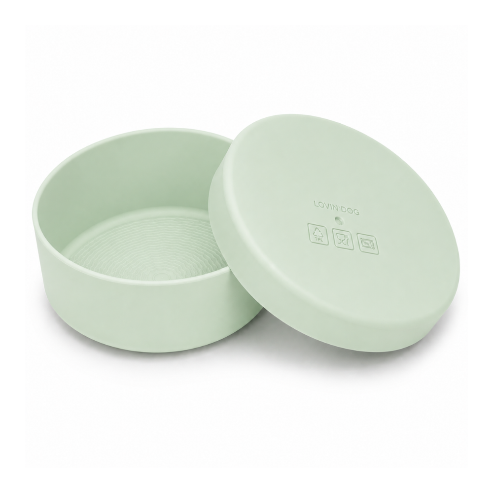 Travel Napf Set mit Deckel aus TPE PALE MINT - LOVIN'DOG