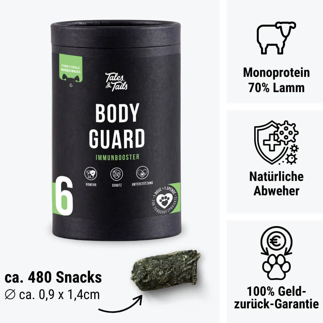 Bodyguard Nr. 6 - Immunbooster