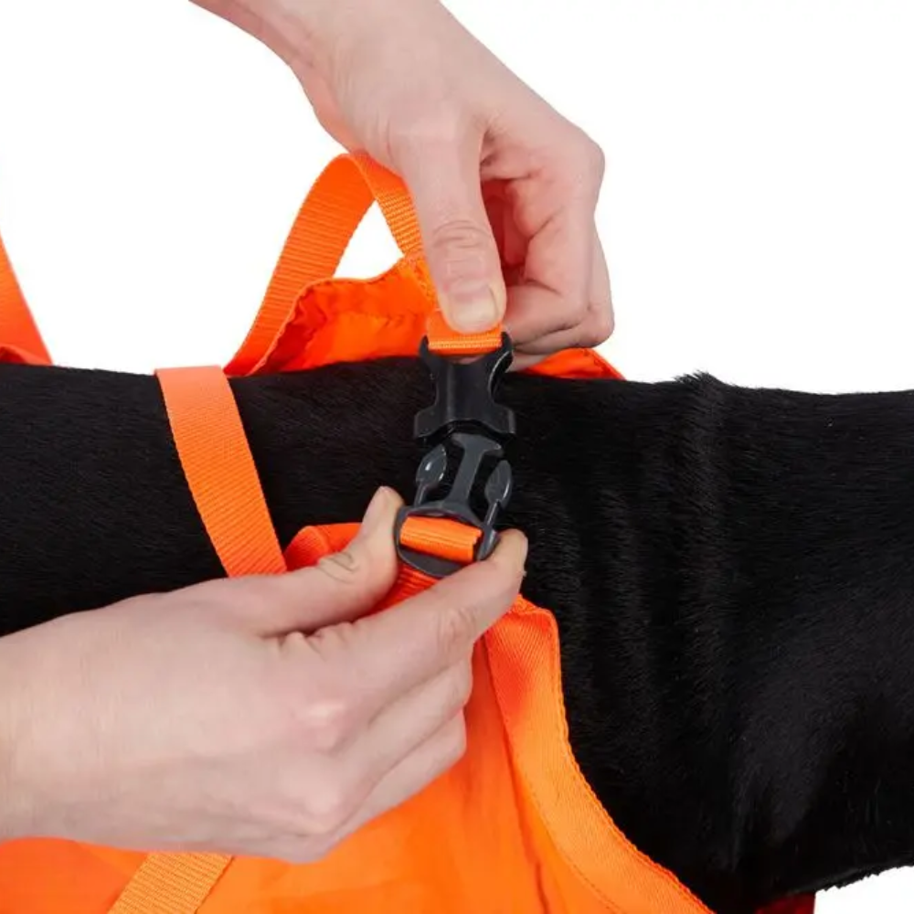 Verschluss-Schnalle Hundeausrüstung Dog rescue sling orange - non-stop dogwear