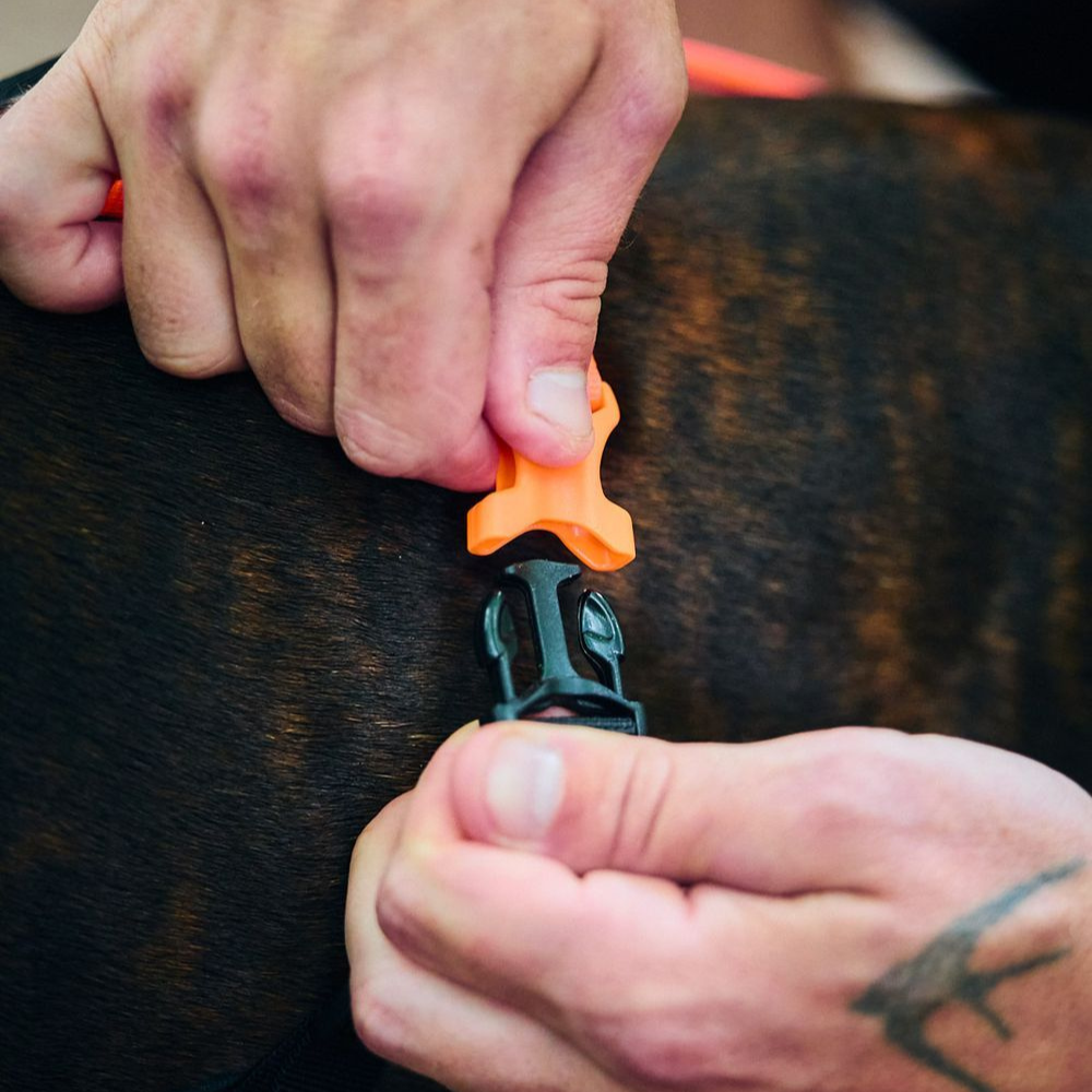 Verschluss Hundegeschirr RUSH Harness black/orange - non-stop dogwear®