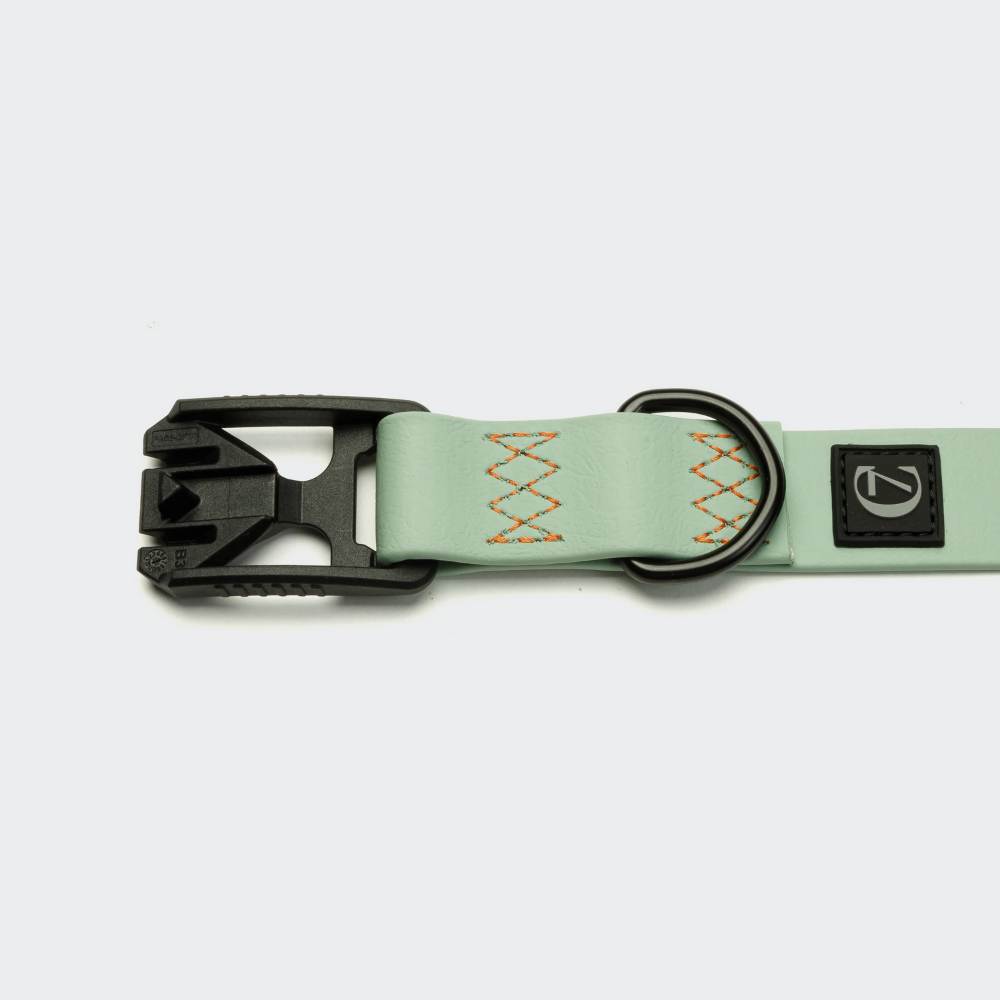 Verschluss & Detail Cloud7 Hundehalsband BioThane Ipanema Mint-Neon Orange