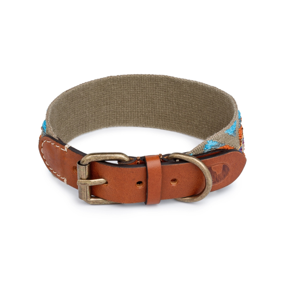 Verschluss Halsband ETNA Grün - Buddys Dogwear